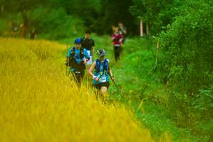 BIB: 
                            <button type="button" onclick="openModal(13455556)" class="btn btn-primary btn-sm float-right btn-popup" data-toggle="modal" data-target=".modal-high-quality">
                        <i class="fas fa-shopping-cart"></i> Add to Cart
                    </button>
                                            <button type="button" onclick="isThisMe(13455556, true)" class="btn btn-success btn-sm float-right btn-popup btn-isme hidden" data-toggle="tooltip" data-placement="bottom" title="นี่คือรูปของคุณใช่ไหม คลิกที่นี่เพื่อเอาเข้าอัลบั้ม">
                        <i class="fas fa-plus"></i> Add to album
                    </button>
                    <button type="button" onclick="isThisMe(13455556, false)" class="btn btn-warning btn-sm float-right btn-popup btn-isnotme hidden">
                        <i class="fas fa-ban"></i> Remove from album
                    </button>